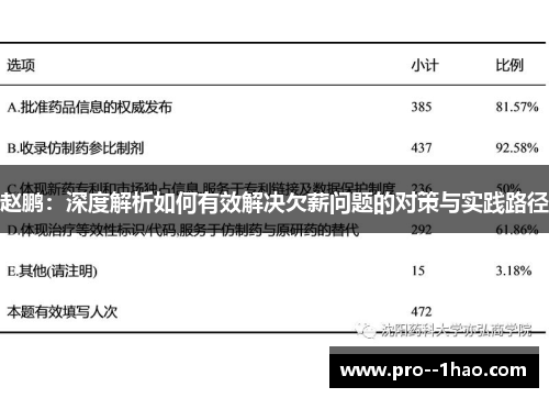 赵鹏：深度解析如何有效解决欠薪问题的对策与实践路径