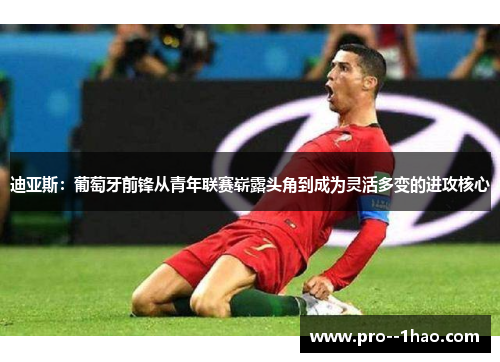 迪亚斯:葡萄牙前锋从青年联赛崭露头角到成为灵活多变的进攻核心 迪亚斯:葡萄牙前锋从青年联赛崭露头角到成为灵活多变的进攻核心