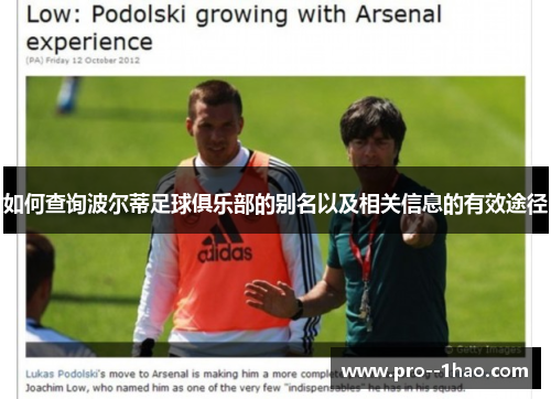 如何查询波尔蒂足球俱乐部的别名以及相关信息的有效途径