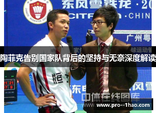 陶菲克告别国家队背后的坚持与无奈深度解读