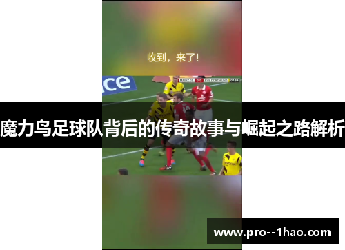 魔力鸟足球队背后的传奇故事与崛起之路解析