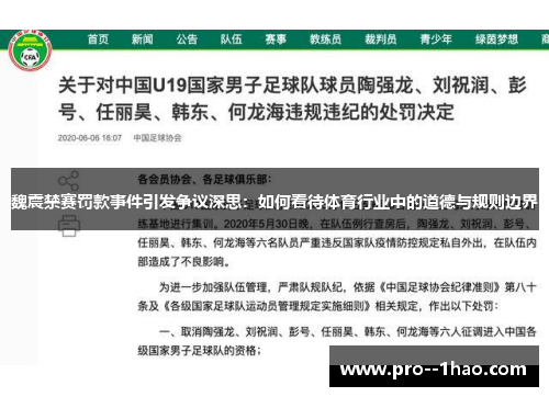 魏震禁赛罚款事件引发争议深思：如何看待体育行业中的道德与规则边界