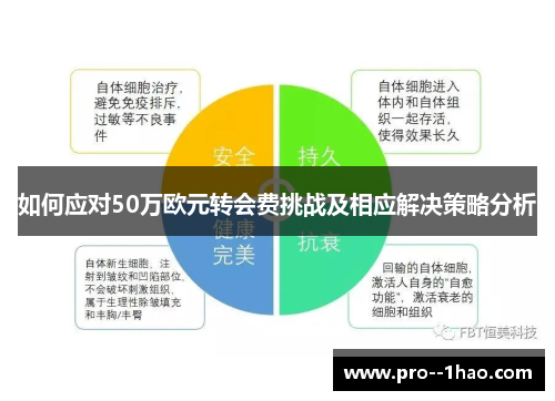 如何应对50万欧元转会费挑战及相应解决策略分析