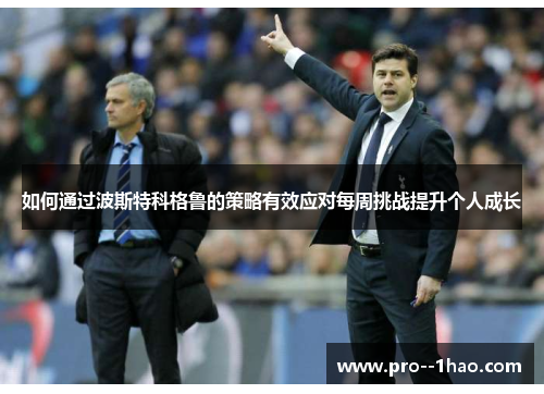 如何通过波斯特科格鲁的策略有效应对每周挑战提升个人成长
