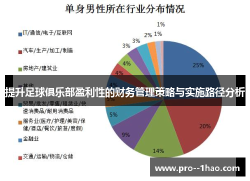 提升足球俱乐部盈利性的财务管理策略与实施路径分析