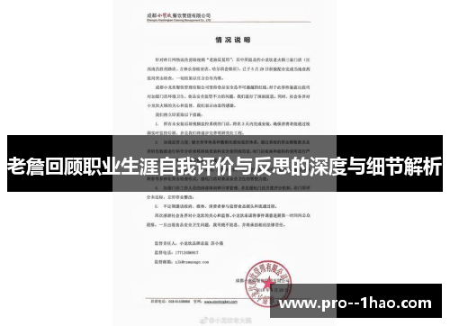 老詹回顾职业生涯自我评价与反思的深度与细节解析 老詹回顾职业生涯自我评价与反思的深度与细节解析