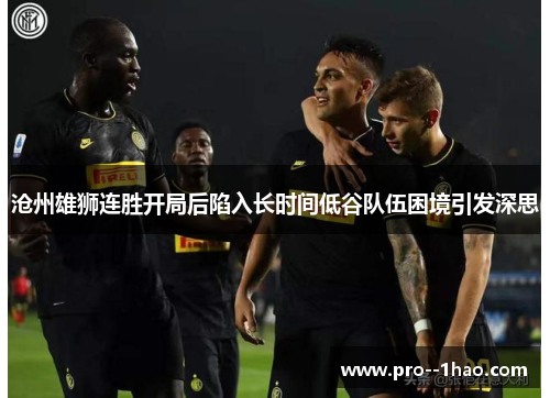 沧州雄狮连胜开局后陷入长时间低谷队伍困境引发深思