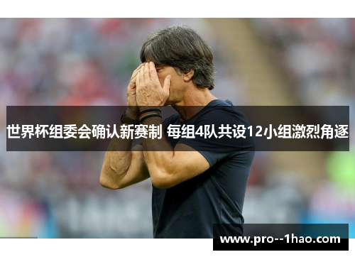 世界杯组委会确认新赛制 每组4队共设12小组激烈角逐