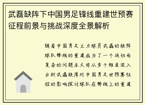 武磊缺阵下中国男足锋线重建世预赛征程前景与挑战深度全景解析